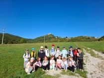 Cvičenia